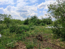 ������ �������� ������ �� ���������� ������� � �.���� ���� 11