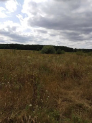 �������� ������ � �. �������. ���� 2