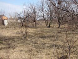 Продається ділянка Полтава, Полтавська, с. Гожули фото 1 Продається ділянка Полтава, Полтавська, с. Гожули фото 1