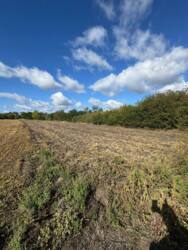 ������ �������� ������ �� ������� �������� � 23 ����� ���� 1