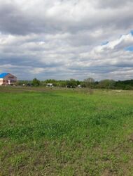 Продається ділянка Полтава, Полтавська, с. Івонченці фото 3 Продається ділянка Полтава, Полтавська, с. Івонченці фото 3