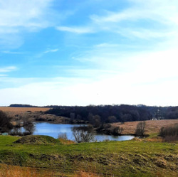 Земельна ділянка в Жуках з недобудованим будинком. фото 3 Земельна ділянка в Жуках з недобудованим будинком. фото 3