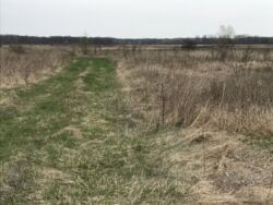 �.�������� ����������� �-�. ���� 1