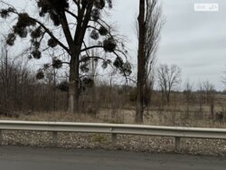 Продається ділянка Полтавська, Полтава, с. Супрунівка, Супрунівка фото 2 Продається ділянка Полтавська, Полтава, с. Супрунівка, Супрунівка фото 2