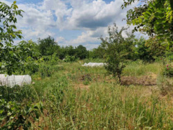 ������ �������� ������ �� ���������� ������� � �.���� ���� 10