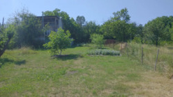 Земельна ділянка Патлаївка фото 4 Земельна ділянка Патлаївка фото 4