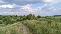 ������� 10 �����, ����� �. ������� - 3 �� �� ������������ �����. ���� 3