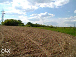 ������� 10 �����, ����� �. ������� - 3 �� �� ������������ �����. ���� 2