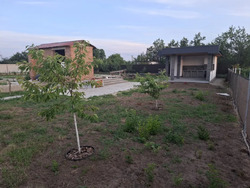 Продається ділянка Полтава, Полтавська, с. Гожули фото 12 Продається ділянка Полтава, Полтавська, с. Гожули фото 12