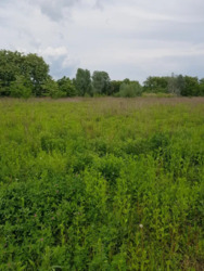 �������� ������ �� �������� �.�������. ���� 2