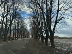 Продам ділянки в елітному місці у Розсошенцях. фото 1 Продам ділянки в елітному місці у Розсошенцях. фото 1