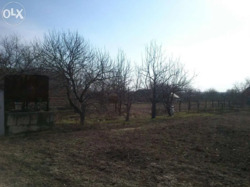 ��������� ������ �������, ����������, �. �����, �. ����� ���� 3