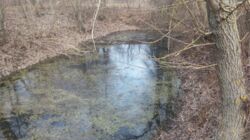 ��������� ������ ��������, �����������, ���������� ���� 5