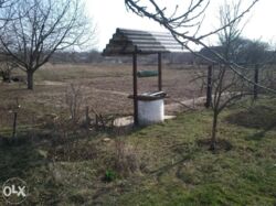 ��������� ������ �������, ����������, �. �����, �. ����� ���� 5