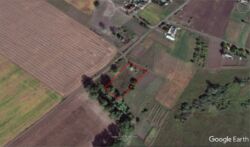 ��������� ������ ��������, �����������, ���������� ���� 7