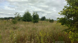 �������� ������ � �. �������. ���� 5