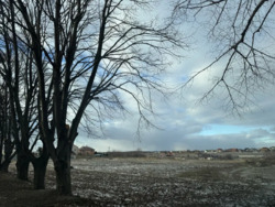 Продам ділянки в елітному місці у Розсошенцях. фото 2 Продам ділянки в елітному місці у Розсошенцях. фото 2