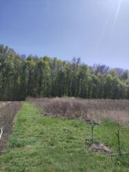 ĳ����� ��� ���. ���� 2