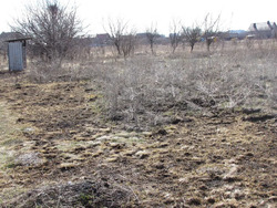 Продається ділянка Полтава, Полтавська, с. Гожули фото 2 Продається ділянка Полтава, Полтавська, с. Гожули фото 2