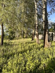 Без Комісії0% Комплекс земельних ділянок на березі Ворскли 15км.від Полтави фото 8 Без Комісії0% Комплекс земельних ділянок на березі Ворскли 15км.від Полтави фото 8