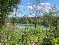 Продається ділянка вулиця Журавлина, Полтава, Полтавська, Київський, Юрівка фото 2 Продається ділянка вулиця Журавлина, Полтава, Полтавська, Київський, Юрівка фото 2