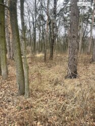 ��������� ������ �����, �����, ������� ���� 4