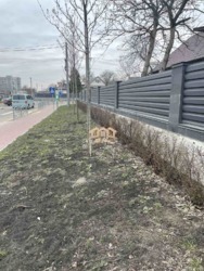 ������ ������ 14 �����, ���� ���% ���� 4