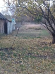 ��������� ������ ���������, ����, ����, ������� ���� 3