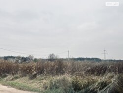 ��������� ������ �����, �����, ������� ���� 4