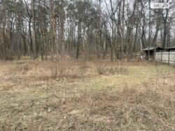 ��������� ������ �����, �����, ������� ���� 1