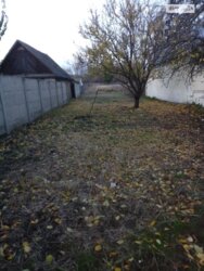 ��������� ������ ���������, ����, ����, ������� ���� 5