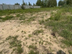 �������, ������ � �������� ��������� 16000 ���� 5