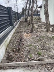 ������ ������ 14 �����, ���� ���% ���� 3