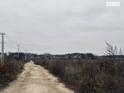 ��������� ������ �����, �����, ������� ���� 3