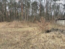 ��������� ������ �����, �����, ������� ���� 3