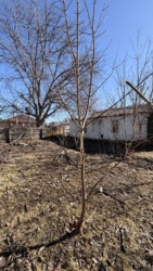 Продаж земельної ділянки на Катранівці в м. Кропивницький фото 6 Продаж земельної ділянки на Катранівці в м. Кропивницький фото 6