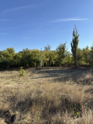 ������ �������� ������ ���� 4