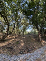 Продам ділянку на Масленіківці у Кропивницькому фото 4 Продам ділянку на Масленіківці у Кропивницькому фото 4