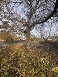 Продам земельну ділянку під житлову забудову на початку Ст. Балашівки фото 3 Продам земельну ділянку під житлову забудову на початку Ст. Балашівки фото 3