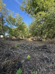 Продам земельну ділянку по провулку Санаторний біля Міського Саду в м. Кропивницький фото 5 Продам земельну ділянку по провулку Санаторний біля Міського Саду в м. Кропивницький фото 5