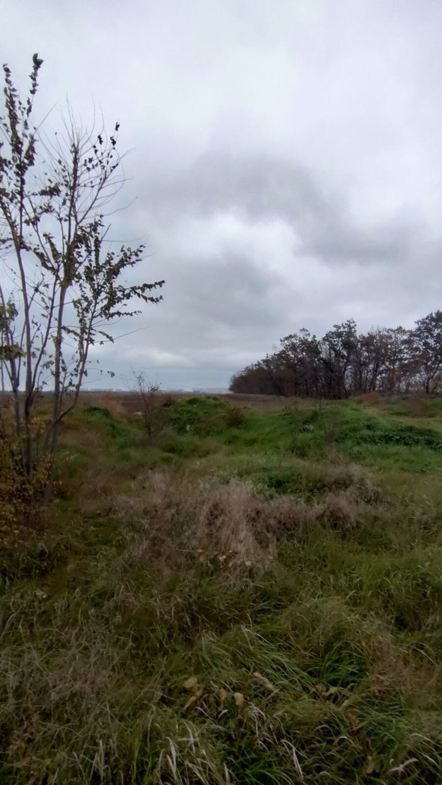 Продається земля поруч Райдужного! фото 1 Продається земля поруч Райдужного! фото 1