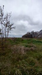 Продається земля поруч Райдужного! фото 1 Продається земля поруч Райдужного! фото 1