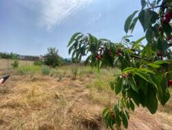 Продается Участок 5 соток в Лесках под строительство дома. фото 1 Продается Участок 5 соток в Лесках под строительство дома. фото 1