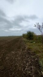 Продається земля поруч Райдужного! фото 2 Продається земля поруч Райдужного! фото 2