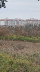 Продається земля поруч Райдужного! фото 4 Продається земля поруч Райдужного! фото 4