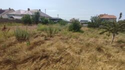 Продается Участок 5 соток в Лесках под строительство дома. фото 3 Продается Участок 5 соток в Лесках под строительство дома. фото 3