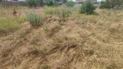 Продается Участок 5 соток в Лесках под строительство дома. фото 2 Продается Участок 5 соток в Лесках под строительство дома. фото 2