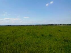 Продається ділянка Київська, Бородянський, Лубянка фото 2 Продається ділянка Київська, Бородянський, Лубянка фото 2