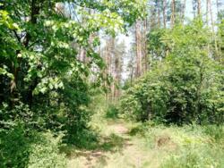 Продається ділянка Київ, Подільський фото 8 Продається ділянка Київ, Подільський фото 8