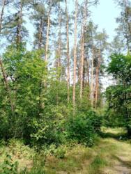 Продається ділянка Київ, Подільський фото 9 Продається ділянка Київ, Подільський фото 9